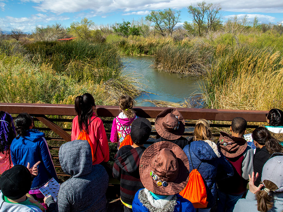 A group of students from a local elementary school tour the Las Vegas Wash